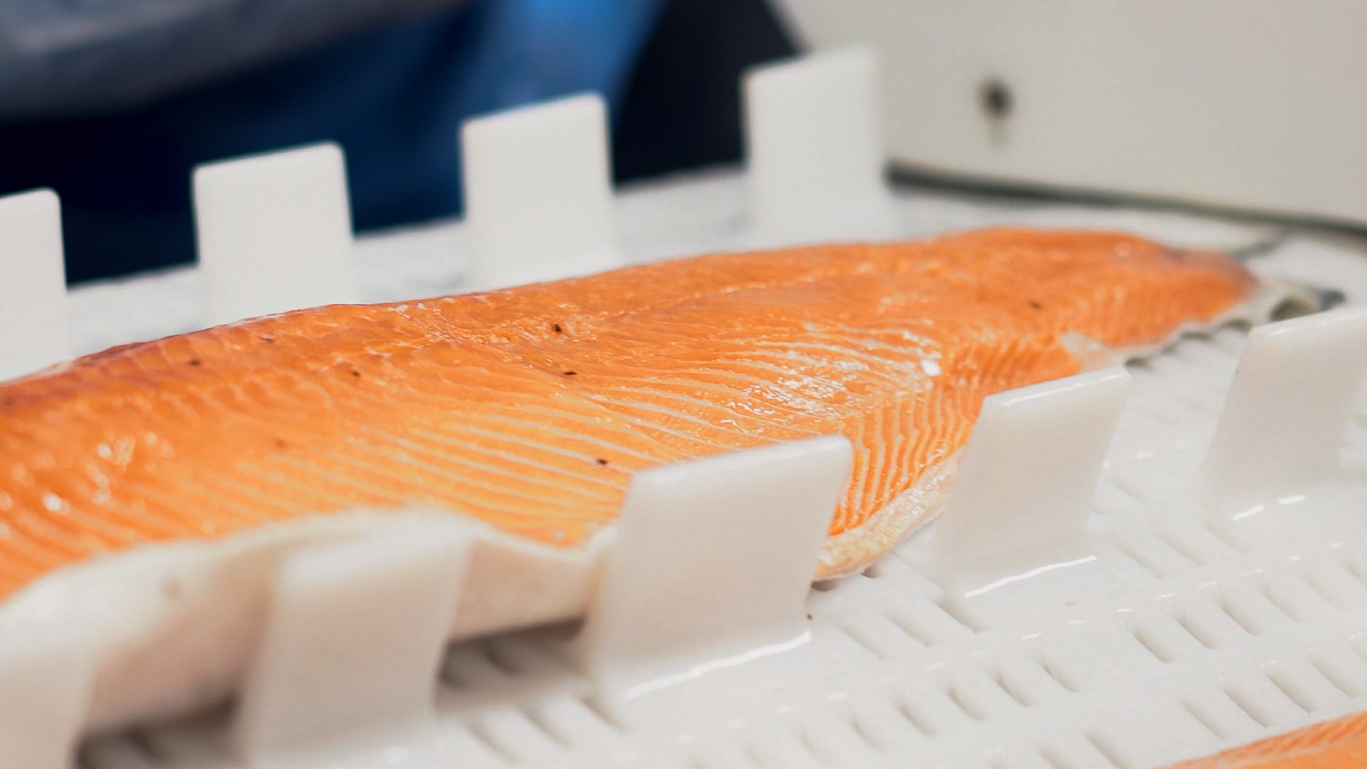 SalmonChile destaca reducción en un 7,5 del uso de antibióticos en la SalmonChile destaca reducción en un 7,5 del uso de antibióticos en la