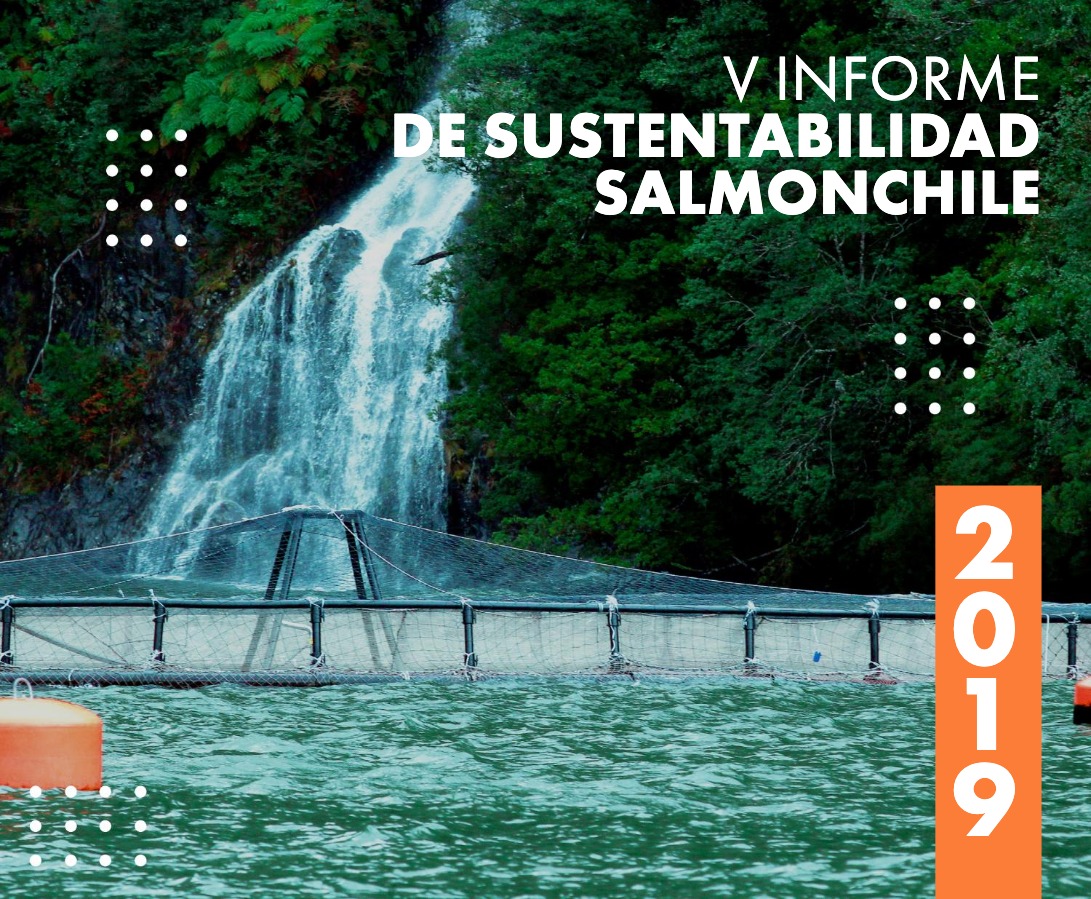 V Informe de Sustentabilidad 2019: importantes logros sociales y medioambientales
