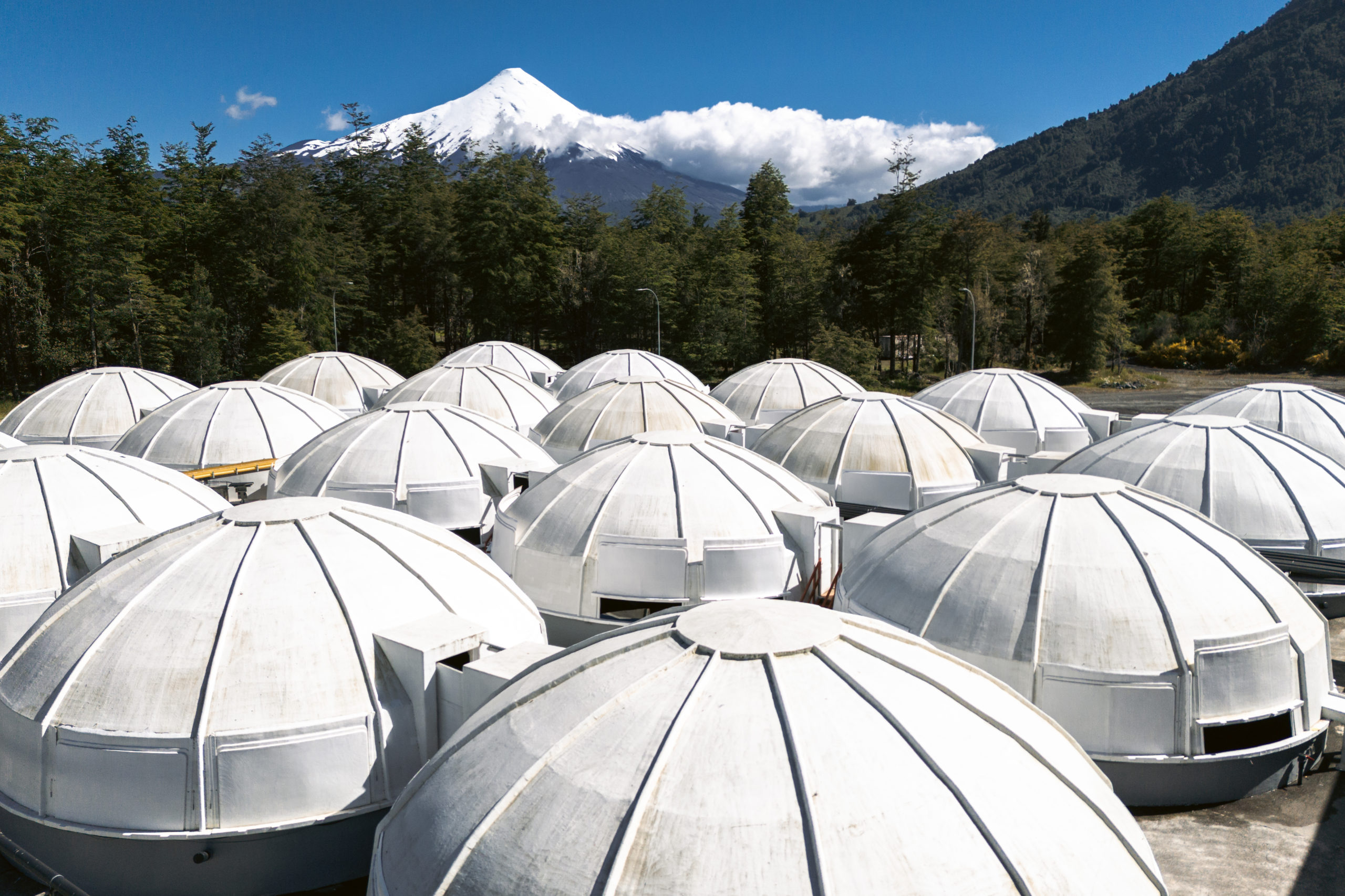 Salmón chileno: inocuidad que genera confianza en el mundo