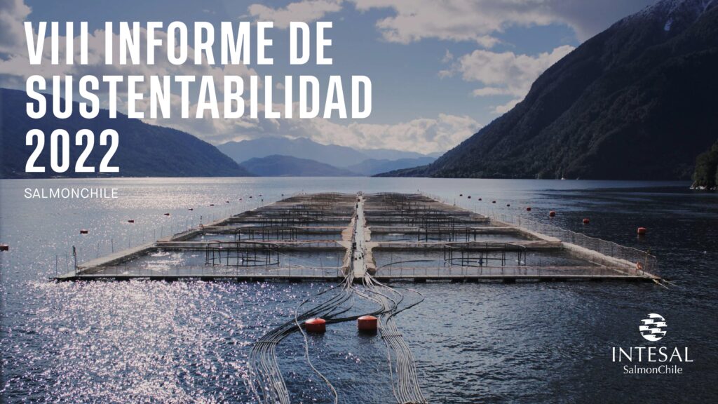 VIII Informe de Sustentabilidad 2022